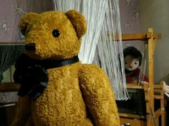 -济州岛泰迪熊博物馆