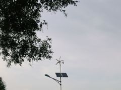 -大兴滨河森林公园