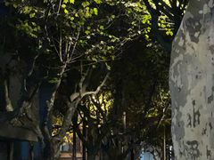 -上海璞麗酒店