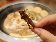 -铁锅炖灶台鱼老三炖鱼馆