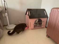 店内环境-Pink You美甲美睫纹绣定制中心