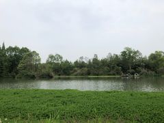 -桤木河湿地公园