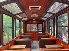 -合肥滨湖国家森林公园