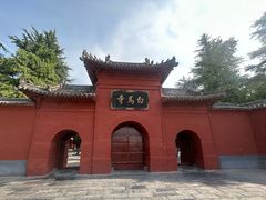 -洛阳白马寺