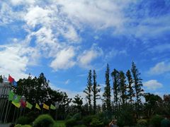 -上海长兴岛郊野公园