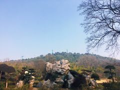 -东湖磨山景区