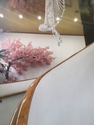 点击看大图 -WENDY·温迪皮肤管理