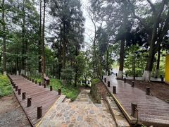 -莫干山风景区