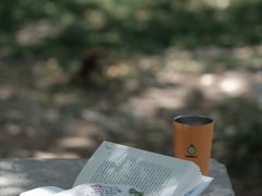 -洱海月湿地公园