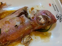-蛇口康乐快餐鱼仔档(翠苑小区店)