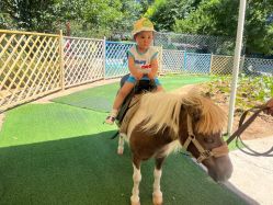 点击看大图 -萌宠亲子动物乐园(槐房万达店)