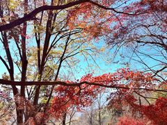 -莫干山风景区