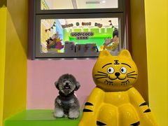 -天天玩X秋葉原日系动漫游戏中心