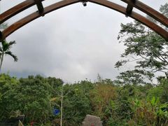 -七仙岭温泉国家森林公园