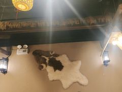 -柿子树炭烤羊腿(金台路店)