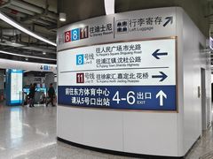 -东方体育中心(地铁站)