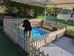 -萌宠亲子动物乐园(槐房万达店)