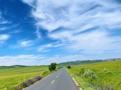 -塞罕坝国家级自然保护区