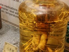 -九江双蒸博物馆