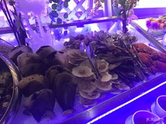 -339旋转餐厅(天府熊猫塔店)