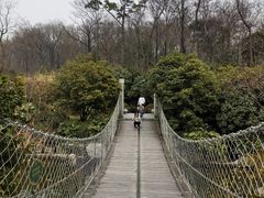-南京东郊国宾馆