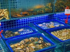 水产区-必点海鲜·鲅鱼水饺(鞍山西道店)