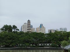 -江心屿景区
