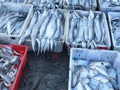 -芦潮港集贸市场