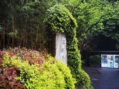 -十八棵（老龙井）御茶园(老龙井店)