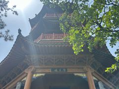-塔云山