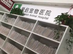 -爱侣宠医·鹦鹉专科·小型哺乳类·异宠专科(灵石路店)