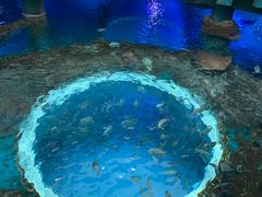 -临沂极地海洋王国