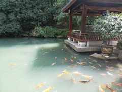 -兰溪地下长河