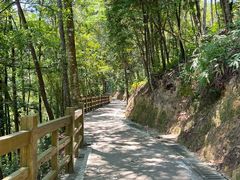 -广州市流溪河国家森林公园