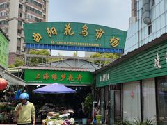 -曲阳花鸟市场(曲阳路店)