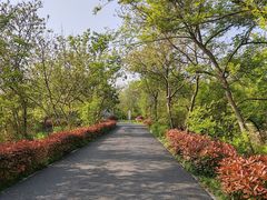 -西溪国家湿地公园