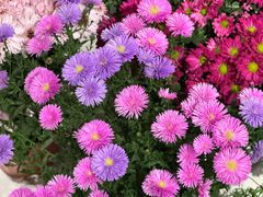 -漕溪路(地铁站)