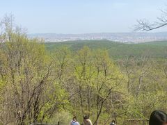 -帽儿山国家森林公园