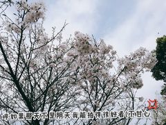 -洋湖国家湿地公园