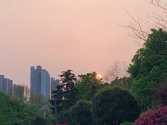 -滨湖塘西河公园