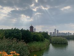 -厦门园林博览苑