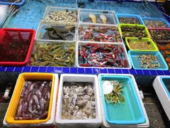 -霞涌市场海鲜摆卖区