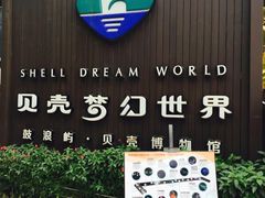 -贝壳梦幻世界