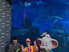 -成都浩海立方海洋公园