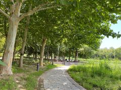 -大兴滨河森林公园