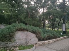 -玲珑塔公园