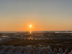 -南汇嘴观海公园