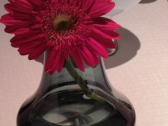 -怡情荟•海鲜青岛菜(五四广场旗舰店)