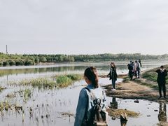-丁香湖公园