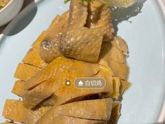 -喜粤8号(四海唐人街店)